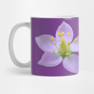 wonderful purple flower, flowers, nature, bloom, violet Mug